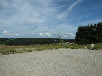 terrain à Sainte-Sigolène (43)