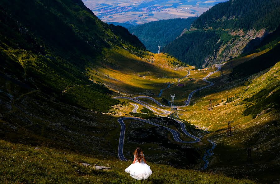 Wedding photographer Alexandru Nedelea (alexandrunedelea). Photo of 9 August 2022