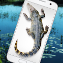 Crocodile in Phone Big Joke icon