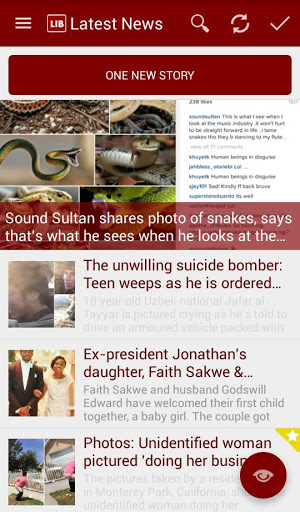 Screenshot Linda Ikeji Blog