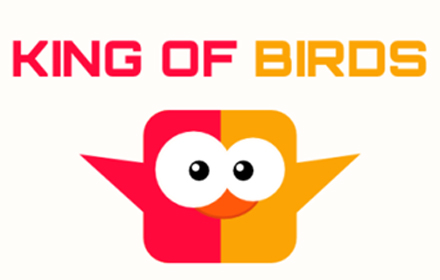 King Of Birds 2 Player Game Preview image 0