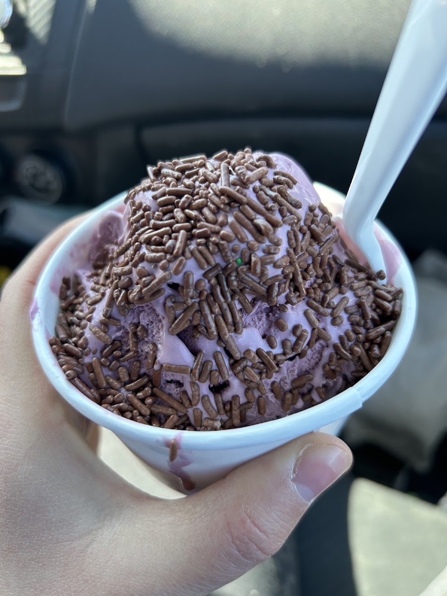 Black raspberry ice cream with chocolate sprinkles! Make sure the ice cream AND sprinkles are from a new container!