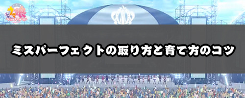 ウマ娘＿ミスパーフェクトの取り方と育て方のコツ＿バナー1