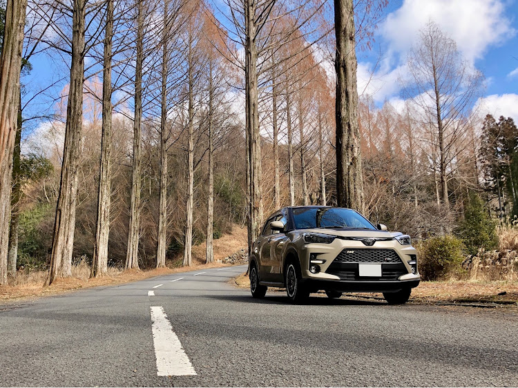 ライズのライズ・ライズ乗りと繋がりたい・ライズでスキー・久万スキーランドに関するカスタム事例の投稿画像4枚目