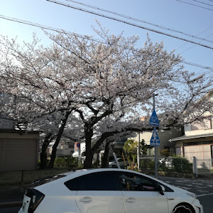 プリウス ZVW30