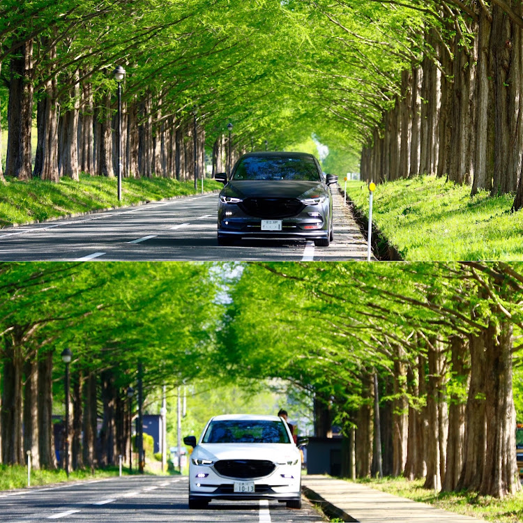 CX-5のCX-5・25T・MazdaCamarades・滋賀オフ前日・つるリングに関するカスタム事例の投稿画像10枚目