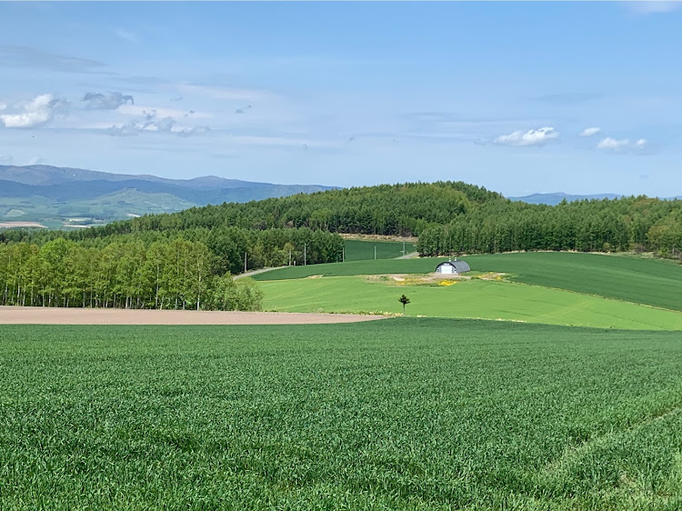 スイフトスポーツの癒しのひととき・北海道から・景色サイコー！！！に関するカスタム事例の投稿画像5枚目