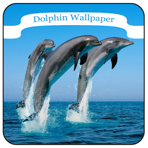 Download Dolphin Wallpaper For PC Windows and Mac