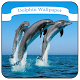 Download Dolphin Wallpaper For PC Windows and Mac 1.0.0