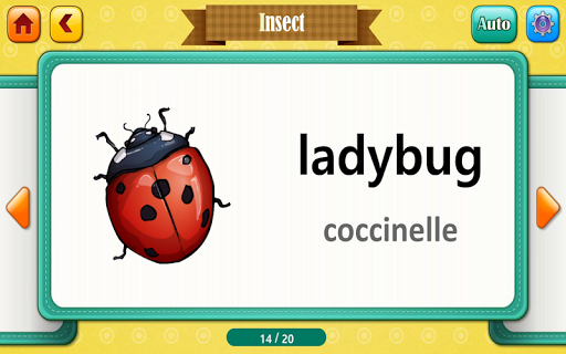 CM Dictionary - Animal (Free) 1.0.6 screenshots 2