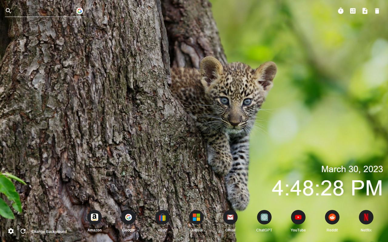 Nature New Tab Preview image 6