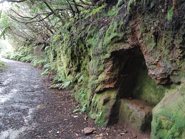 TEMPORAL EN ANAGA. EL BOSQUE ENCANTADO. - VOLVEMOS A TENERIFE: ESCAPADA DE 4 DÍAS 10 AÑOS DESPUÉS (14)