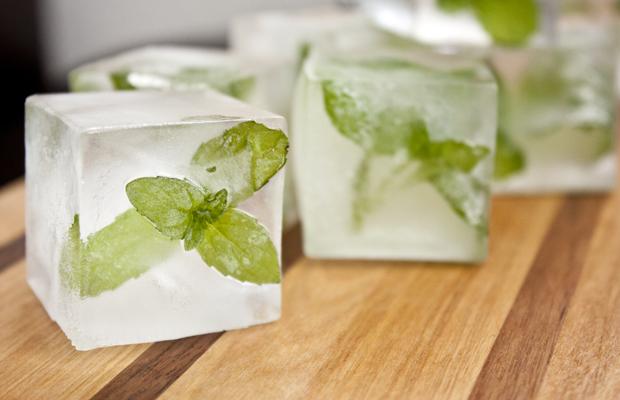 Kết quả hình ảnh cho Freeze mint Into Ice Cube Trays