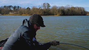 Winter Largemouth in Grass thumbnail