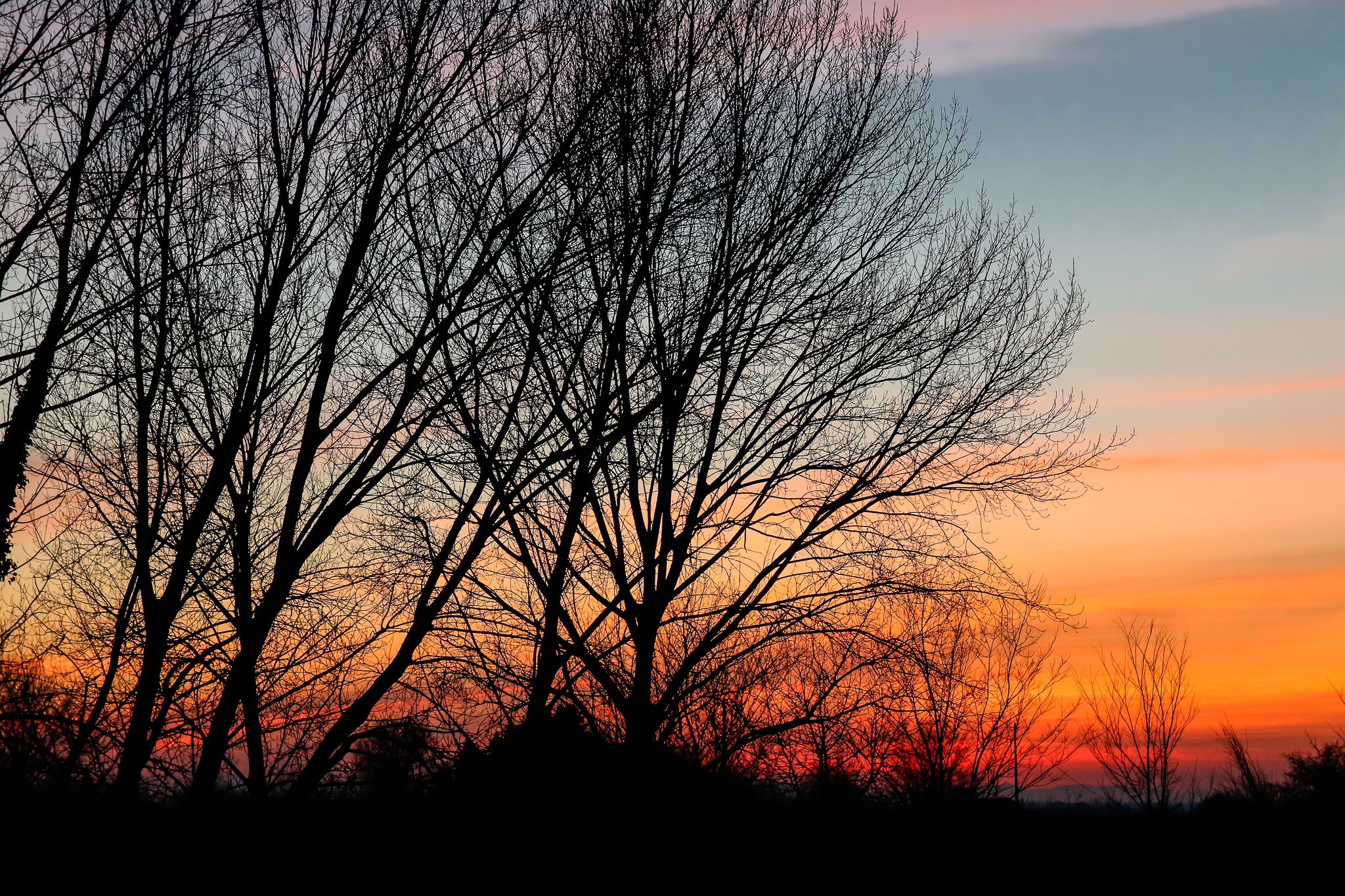 Un banale tramonto di E l i s a E n n E