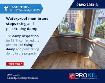 Waterproof membrane stops rising and penetrating damp! album cover