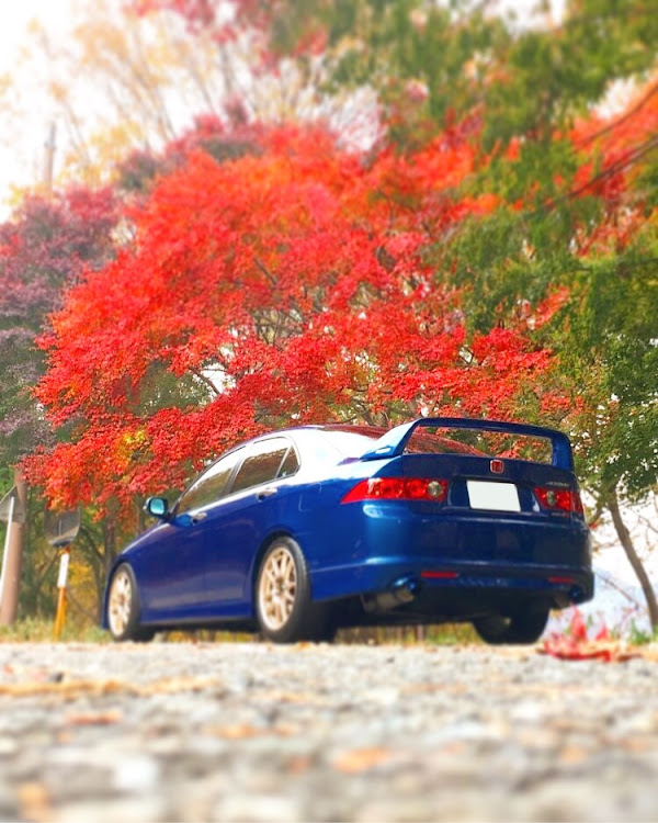 アコード ユーロRの日光・無限・VTEC・ivtec・ホンダに関するカスタム事例の投稿画像1枚目