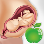 Cover Image of 下载 Pregnancy Tips Diet Nutrition 4.6 APK
