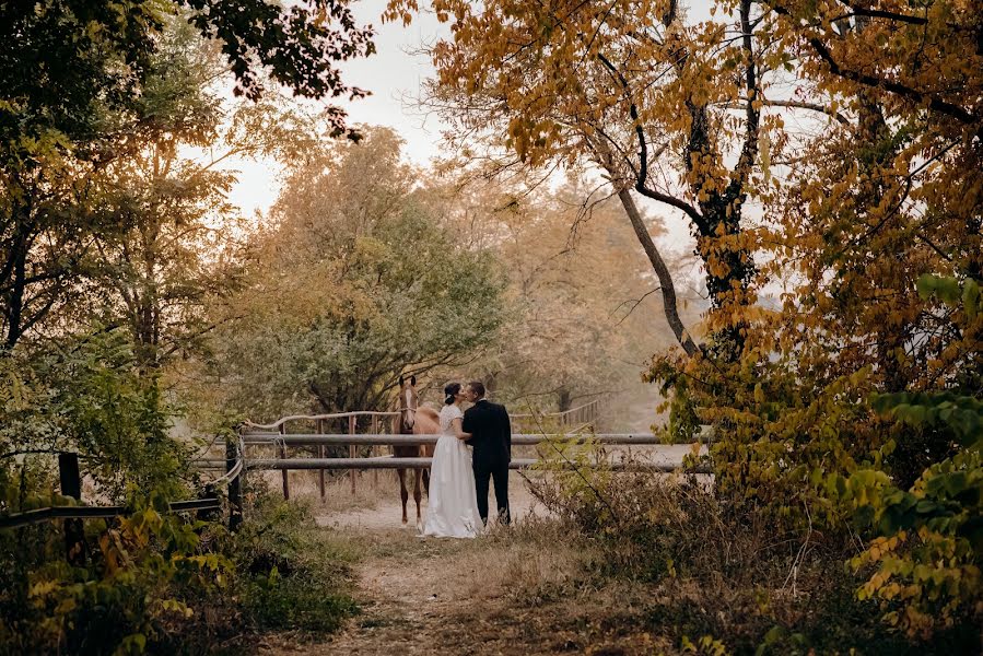 Bryllupsfotograf Biljana Mrvic (biljanamrvic). Bilde av 2 mai 2019