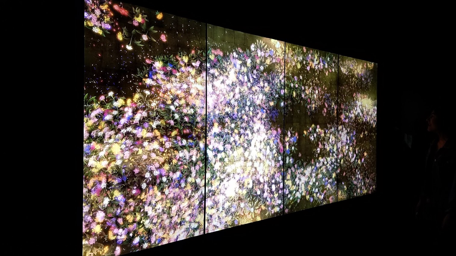 Flowers and People as part of Pace Art + Technology exhibit Living Digital Spaces and Future Parks. This artwork is rendered in real time by a computer program. The flowers bud, grow, and blossom before their petals begin to wither, and eventually fade away. The cycle of growth and decay repeats itself in perpetuity. Depending on the proximity of the viewer to the work, the flowers shed their petals all at once, wither and die, or come to life and blossom once again.