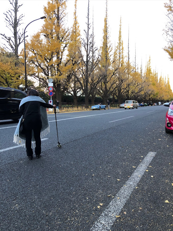 アクアの神宮外苑銀杏並木・埠頭撮影・数時間後の再会に関するカスタム事例の投稿画像3枚目
