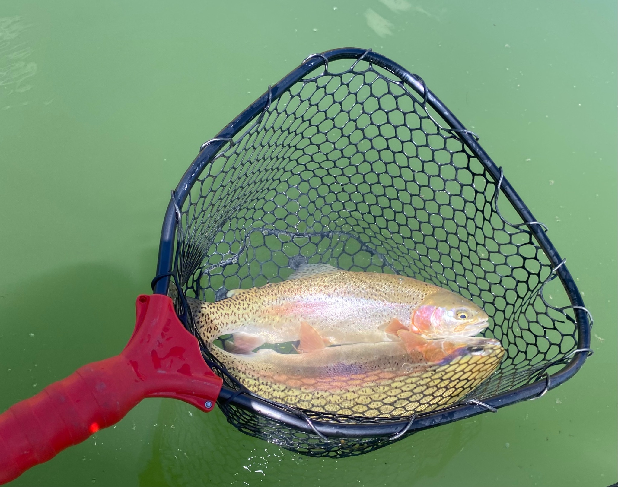 Keeping it Simple Fishing on Tailwaters - Fulling Mill Blog