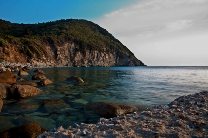 Lo sperone di claudino