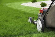 A general rule for mowing is never to cut more than a third of the height of the grass.