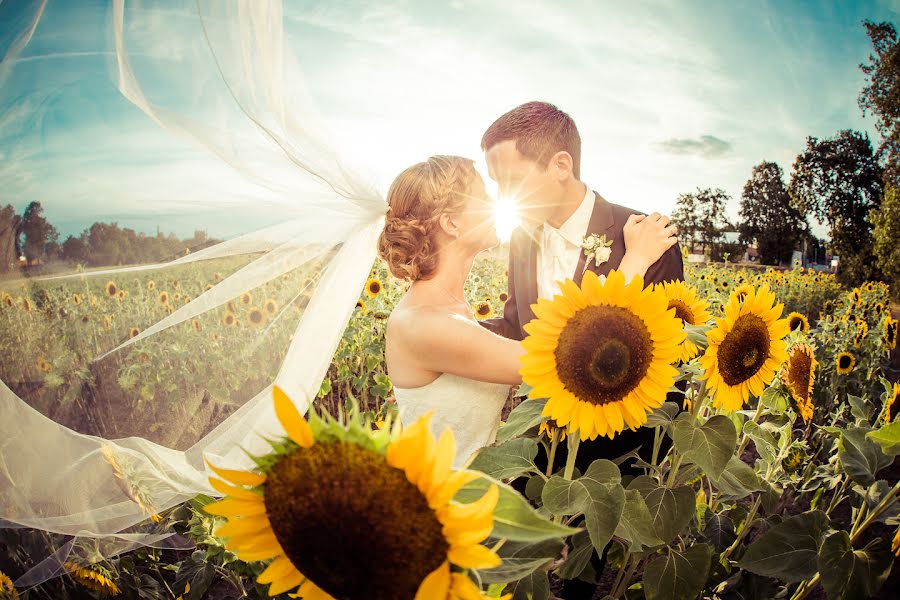 Fotografo di matrimoni Charles Diehle (charlesdiehle). Foto del 4 novembre 2015