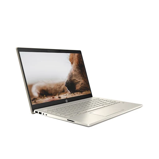 Laptop HP Pavilion 14-ce2041TU (14" FHD/i5-8250U/4GB/1TB HDD/UHD 620/Win10/1.6 kg)