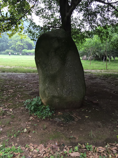 友谊树