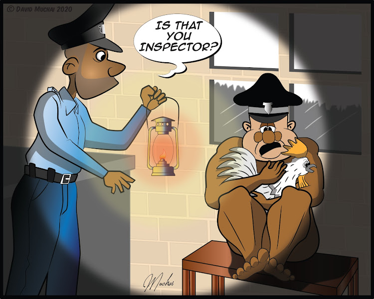 Inspector is sent on a fool's errand