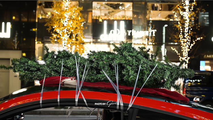 マスタングのクリスマスに関するカスタム事例の投稿画像4枚目