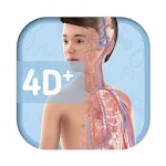 Humanoid 4D+ Apk