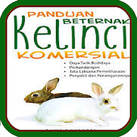 Panduan Budidaya Kelinci