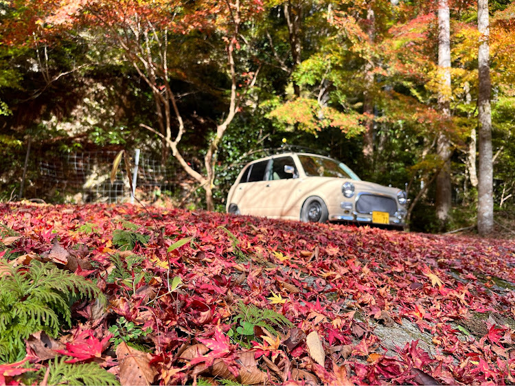 ミラジーノのドライブ・紅葉ドライブ・丹波もみじまつりに関するカスタム事例の投稿画像6枚目