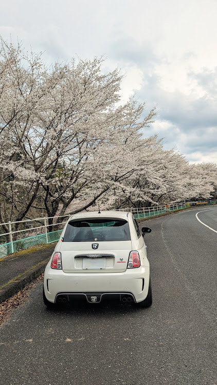 595の誉会～enjoy car community～・サクラと愛車・休日の過ごし方・フォロワーコラボに関するカスタム事例の投稿画像4枚目