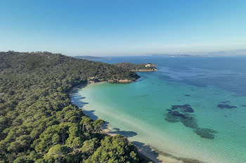 propriété à Porquerolles (83)