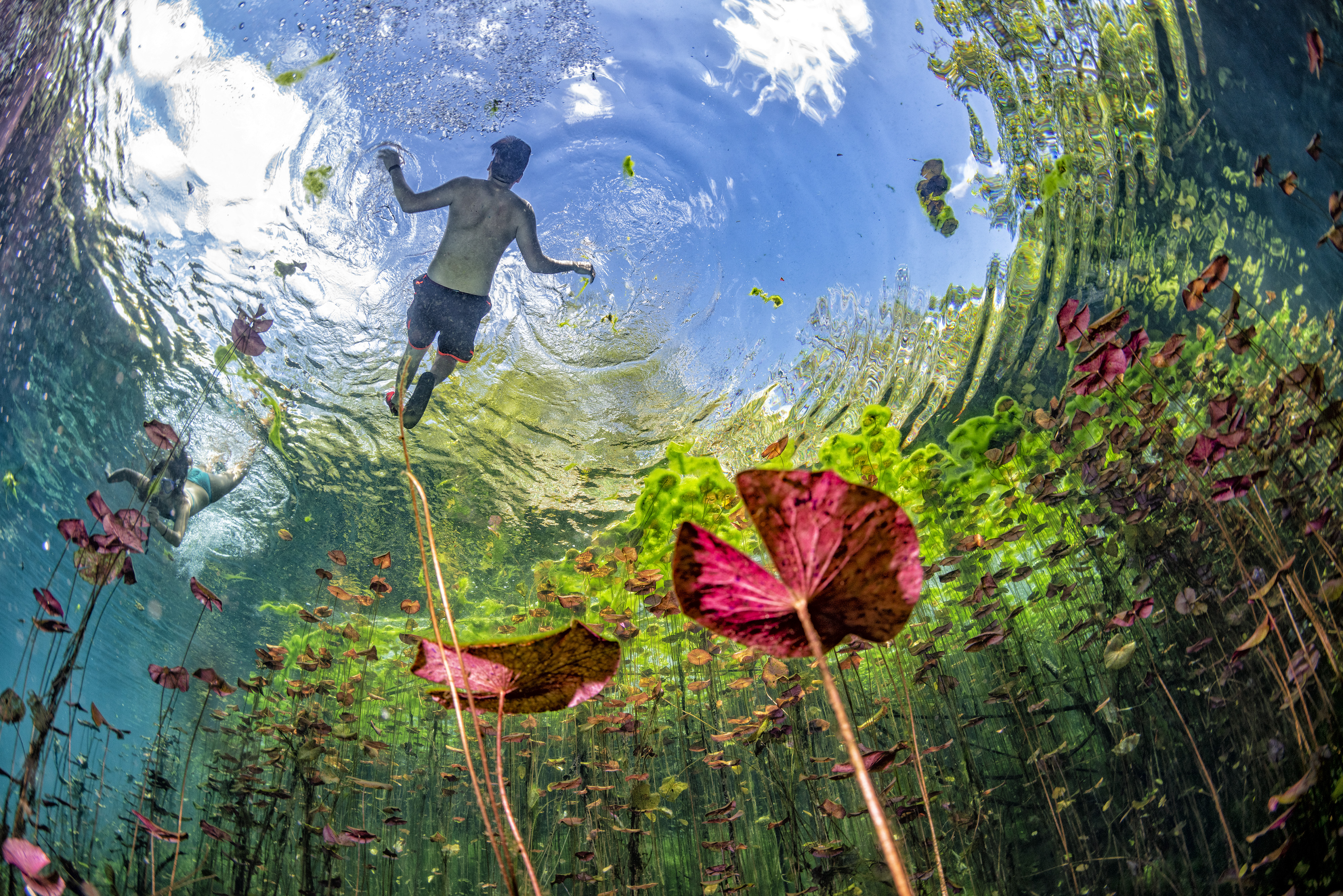 Swimming in the sky di Andrea Izzotti