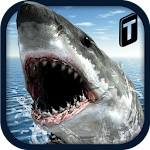Crazy Shark 3D Sim Apk