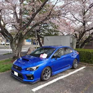 WRX S4 VAG