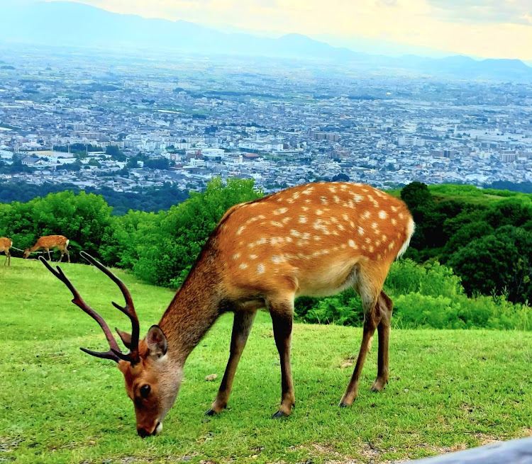 の投稿画像6枚目