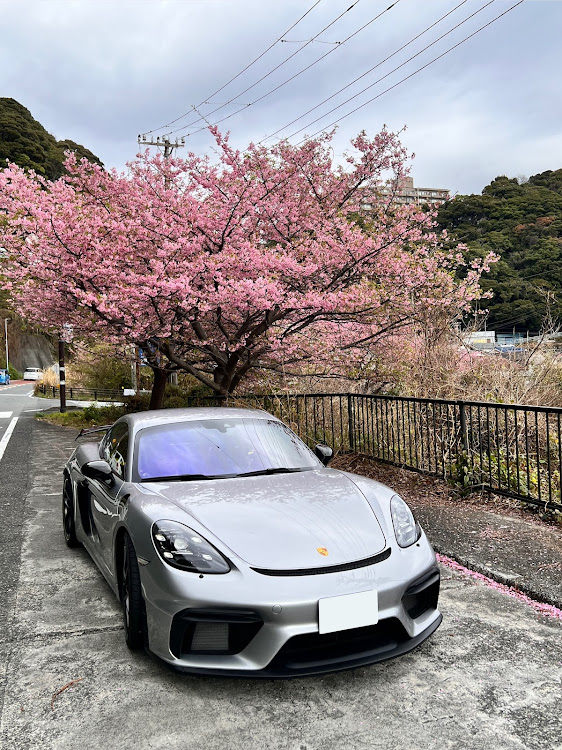 ケイマンのポルシェ ケイマン GT4・河津桜とコラボ・伊豆ドライブ・河津七滝ループ橋・ちょっとやばいに関するカスタム事例の投稿画像2枚目