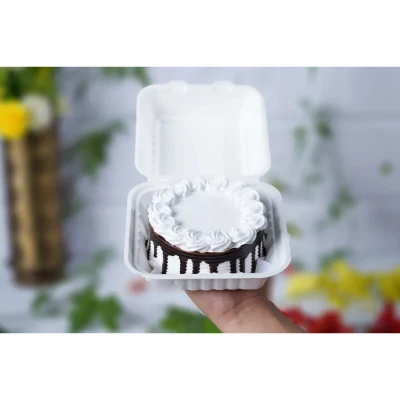 Monochrome Drip Bento Cake