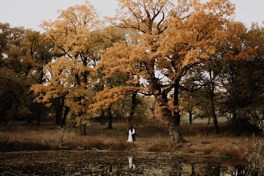 結婚式の写真家Sasha Kravchenko (sasha-kravchenko)。2017 12月15日の写真