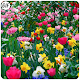 Download All Flowers GIFs Collection For PC Windows and Mac 1.0