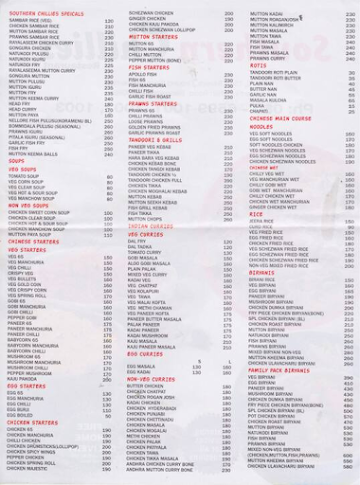 Southern Chillies menu 