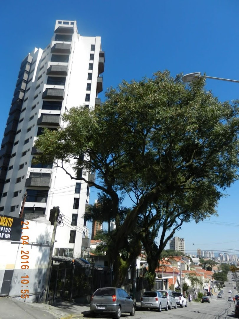 Apartamentos à venda Vila Gustavo