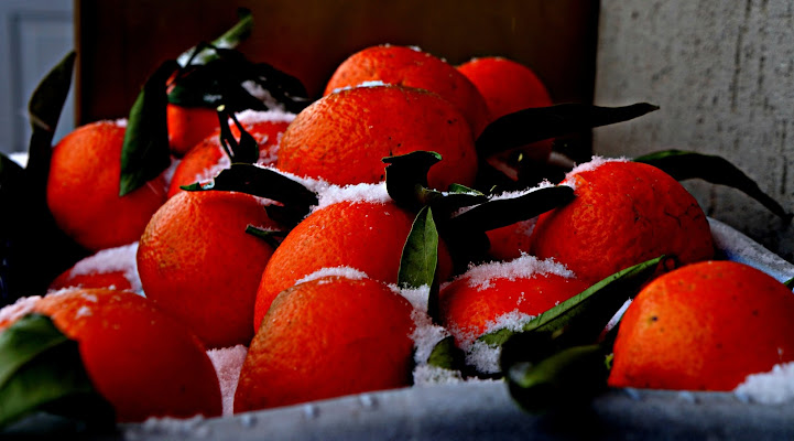 Mandarini nella neve di Elisabetta Di Franco