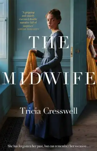 'The Midwife' gives a fascinating glimpse of the social and medical issues of 19th century England.